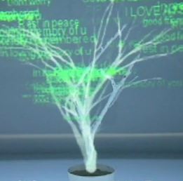 Art and Technology: holographic mourning tree