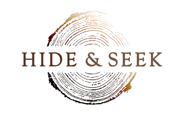 Logo design for tracking company.