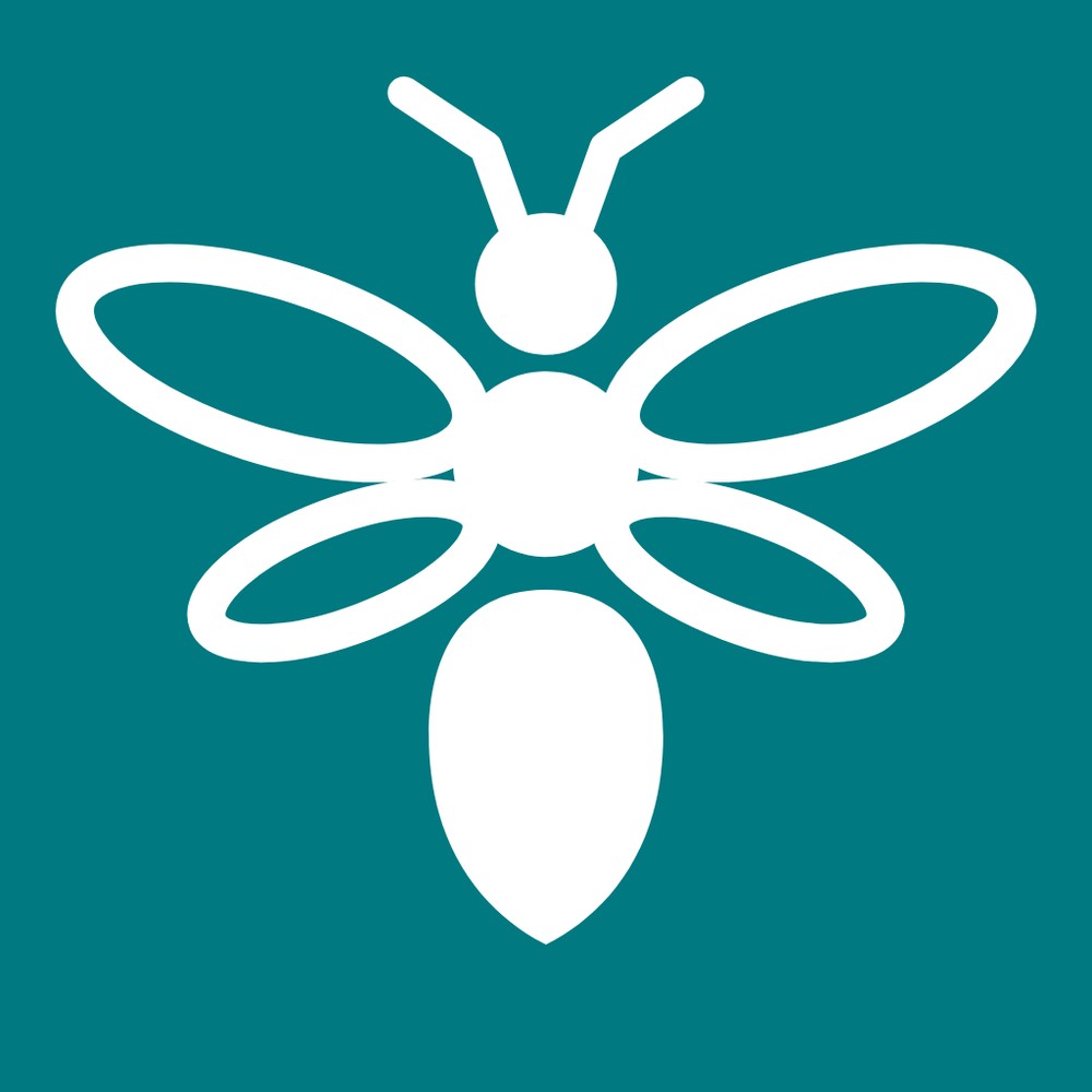 Het eindlogo wit op teal